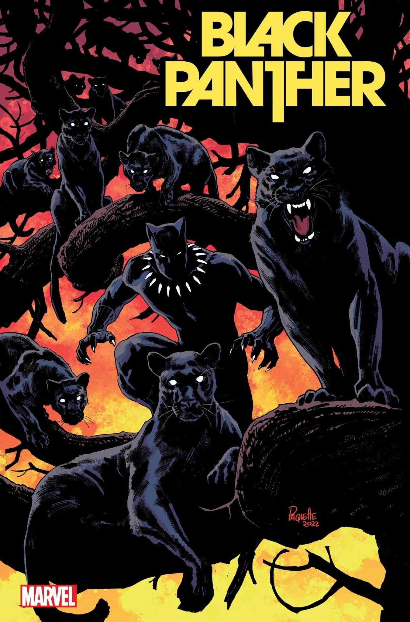 BLACK PANTHER #8 - The Comic Construct